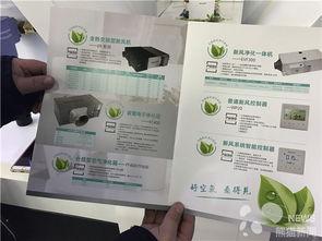 净化校园最新版爆料,揭秘最新版爆料背后的变革与挑战