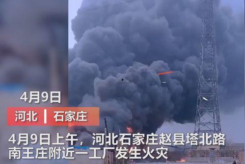 东莞媒体爆料视频最新,揭秘事件背后惊人真相