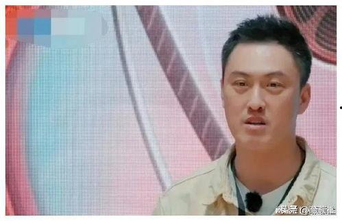 娱乐圈吃瓜爆料陈赫是谁,娱乐圈吃瓜爆料中的焦点人物